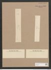 Synedra acus Kuetz. (de-Toni-Nr.: Genus 66, Species 2590) Zeichnungen Sammlung Grunow Nr. 5258 (NHMW-BOT-W0373637)